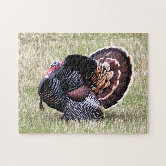 Wild Turkey Legpuzzel (Horizontaal)