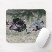 Wild Turkey Love Muismat (Met muis)