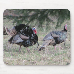 Wild Turkey Love Muismat