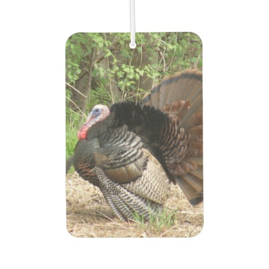 Wild Turkey Luchtverfrisser (Voorkant)
