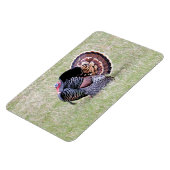 Wild Turkey Magneet (Linkerzijde)