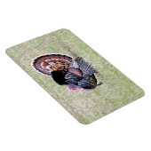Wild Turkey Magneet (Rechterzijde)