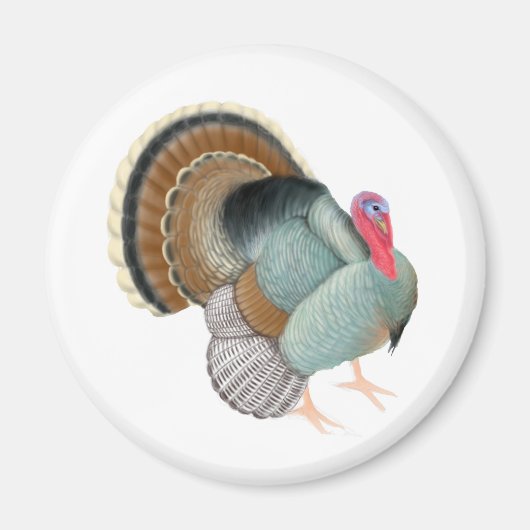 Wild Turkey Magnet (Voorkant)