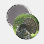 Wild Turkey Magnet (Voorkant / Achterkant)