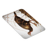 Wild Turkey Magnet Magneet (Rechterzijde)