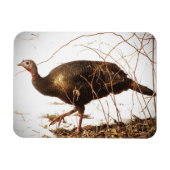 Wild Turkey Magnet Magneet (Horizontaal)