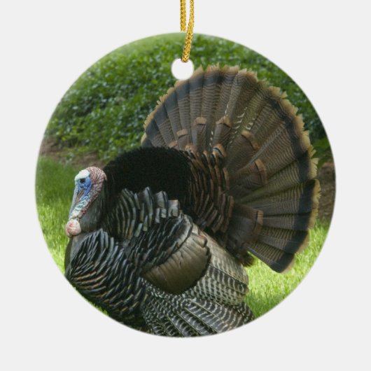 Wild Turkey Ornament (Voorkant)