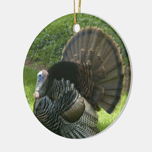 Wild Turkey Ornament (Links)