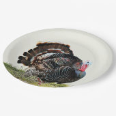 Wild turkey papieren bordje (Gekanteld)