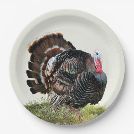Wild turkey papieren bordje