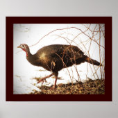 Wild Turkey Poster (Voorkant)
