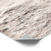 Wild Turkey Poster (Hoek)