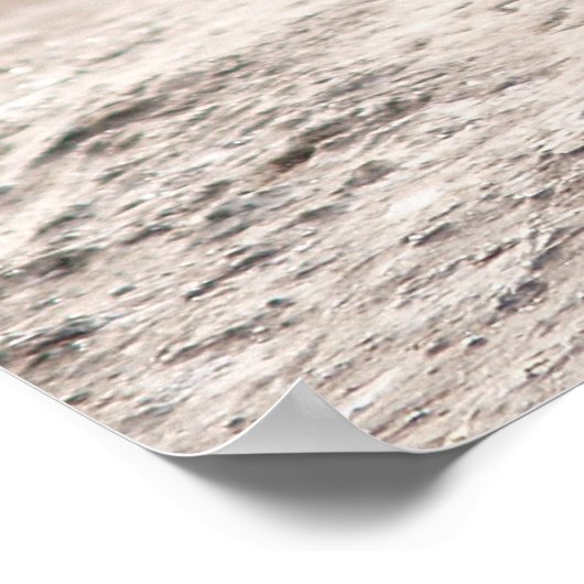 Wild Turkey Poster (Hoek)