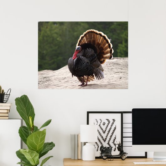 Wild Turkey Poster (Thuiskantoor)