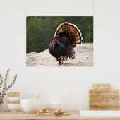 Wild Turkey Poster (Keuken)