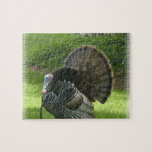Wild Turkey Puzzle Legpuzzel