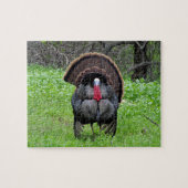 Wild Turkey Puzzle Legpuzzel (Horizontaal)