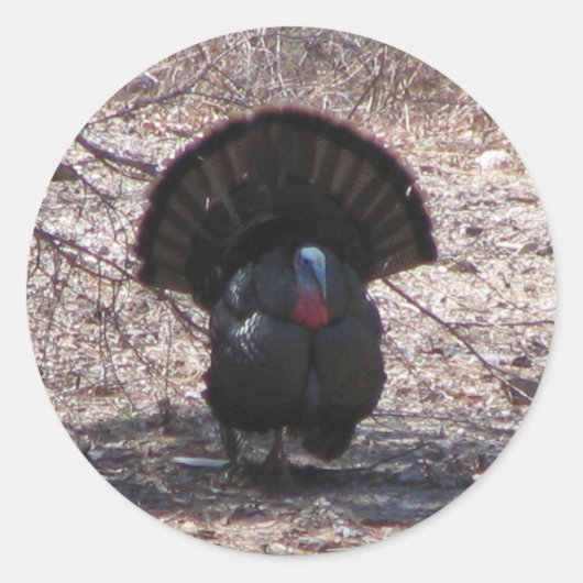 Wild Turkey Ronde Sticker (Voorkant)