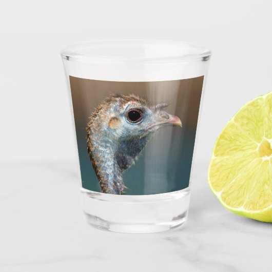 Wild Turkey Shot Glas (Voorkant)