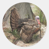 Wild Turkey Stickers (Voorkant)