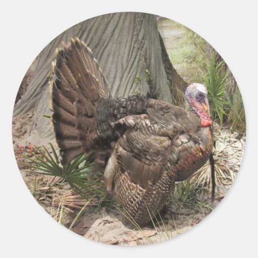 Wild Turkey Stickers (Voorkant)