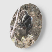 Wild Turkey Strutting for the Dames Grote Klok (Hoek)