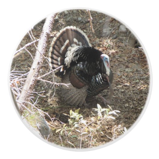 Wild Turkey Strutting for the Dames Keramische Knop (Voorkant)