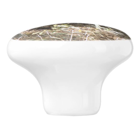 Wild Turkey Strutting for the Dames Keramische Knop (Zijkant)