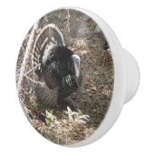 Wild Turkey Strutting for the Dames Keramische Knop (Rechts)