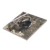 Wild Turkey Strutting for the Dames Tegeltje (Zijkant)