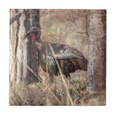 Wild Turkey Tegeltje (Voorkant)