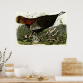Wild Turkey The Birds of America by James Audubon Poster (Keuken)