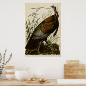 Wild Turkey The Birds of America by James Audubon Poster (Keuken)