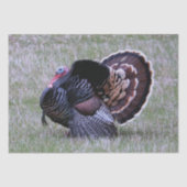 Wild Turkey Tissuepapier (Voorkant)