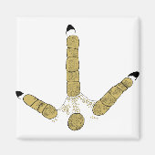 Wild Turkey Track Magneet (Voorkant)