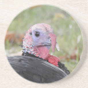 Wild Turkey Zandsteen Onderzetter