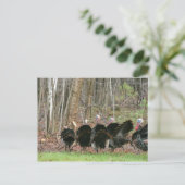 Wild Turkeys Foto van Lorette Starr Briefkaart (Staand voorkant)
