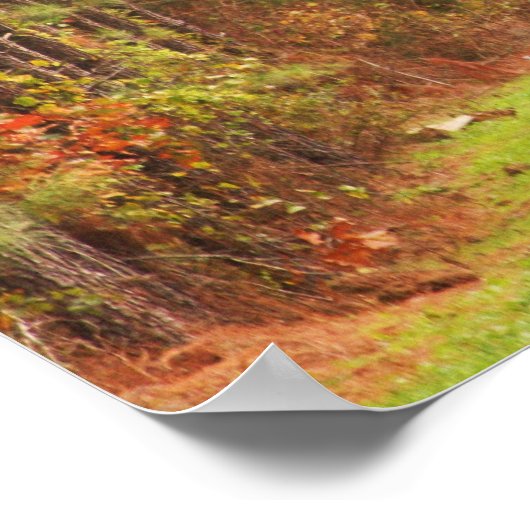 Wild Turkey's in Flight Poster (Hoek)