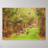 Wild Turkey's in Flight Poster (Voorkant)
