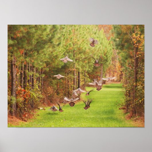 Wild Turkey's in Flight Poster (Voorkant)