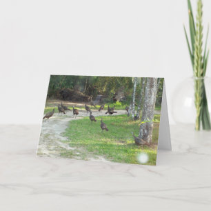 Wild Turkije Feestdagen Kaart