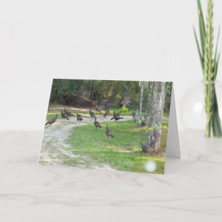 Wild Turkije Feestdagen Kaart