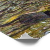 Wild Turkije passeert stroom Poster (Hoek)