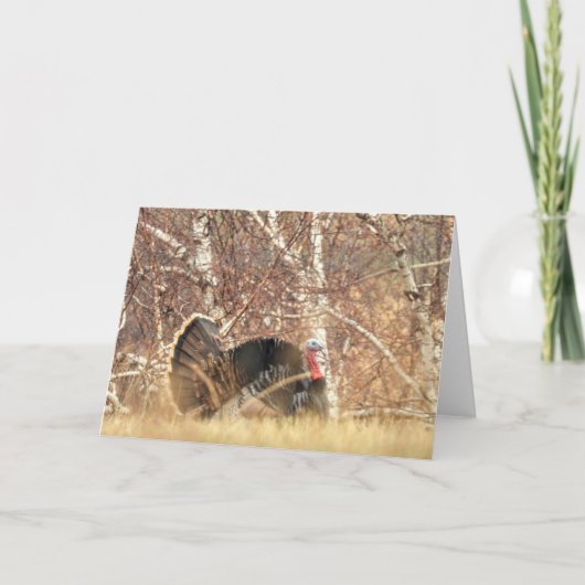 Wild Turkije Tom Note Card Kaart (Voorkant)