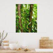 Wild Vanilla Orchid Vines Poster (Keuken)