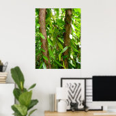 Wild Vanilla Orchid Vines Poster (Thuiskantoor)