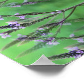 Wild Vervain Flowers Abstract Poster (Hoek)