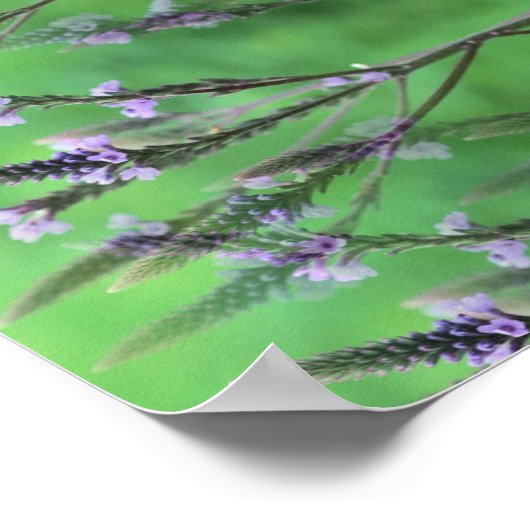 Wild Vervain Flowers Abstract Poster (Hoek)