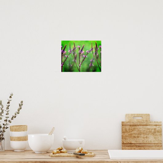 Wild Vervain Flowers Multiplied Poster (Keuken)