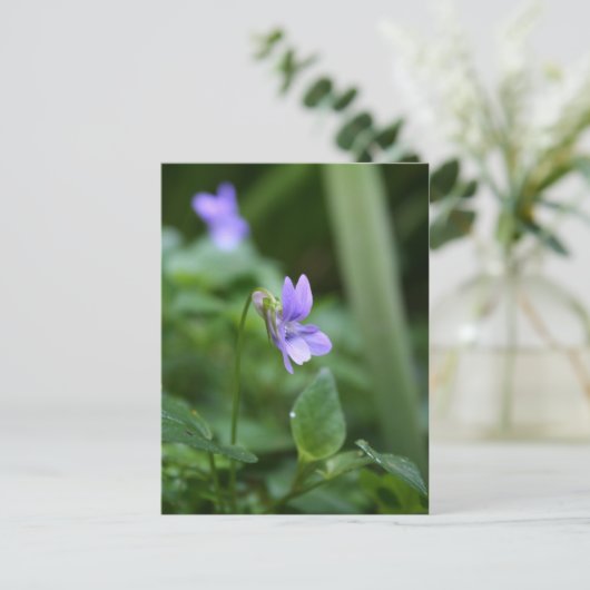 Wild Violet 1 Briefkaart (Staand voorkant)
